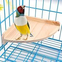 Algopix Similar Product 15 - Bird Perch Platform Stand Wood for