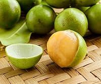 Algopix Similar Product 8 - Spanish Lime Melicoccus bijugatu