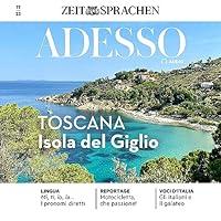 Algopix Similar Product 17 - Adesso Audio 1123  Toscana Lisola