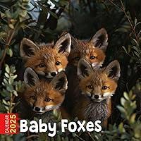 Algopix Similar Product 16 - Baby Foxes Calendar 2025 365 Days of