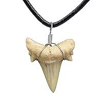 Algopix Similar Product 1 - Natural Shark Tooth Necklace for Men