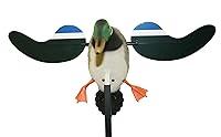Algopix Similar Product 9 - Baby Mojo (Drake) Mojo Decoys Hw4401