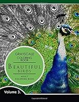 Algopix Similar Product 13 - Beautiful Birds Volume 3 Grayscale