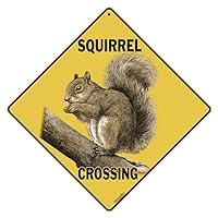Algopix Similar Product 14 - CROSSWALKS Squirrel Crossing 12 X 12