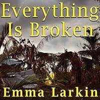 Algopix Similar Product 11 - Everything Is Broken A Tale of