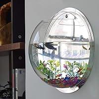 Algopix Similar Product 19 - Wall Fish Bowl Wall Fish Bubble Hanging