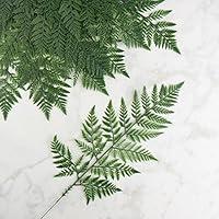 Algopix Similar Product 1 - Factory Direct Craft Vinyl Artificial