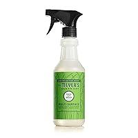 Algopix Similar Product 5 - Mrs Meyers Clean Day MultiSurface