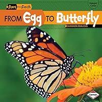 Algopix Similar Product 10 - From Egg to Butterfly