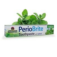 Algopix Similar Product 18 - Natures Answer Periobrite Toothpaste