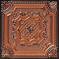 Algopix Similar Product 15 - From Plain To Beautiful In Hours 258