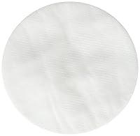 Algopix Similar Product 2 - Moldex 8910 N95 Particulate Pre Filters