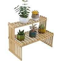 Algopix Similar Product 1 - MyGift Natural Bamboo Indoor Plant