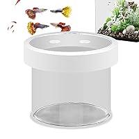 Algopix Similar Product 19 - Aquarium Breeder Box  Acrylic Floating