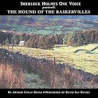 Algopix Similar Product 9 - The Hound of the Baskervilles