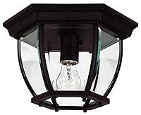 Algopix Similar Product 6 - Kenroy Home 16277BL Dural Flushs