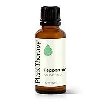 Algopix Similar Product 20 - Plant Therapy Peppermint Essential Oil