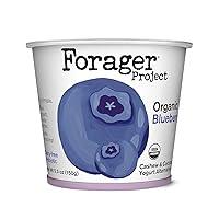 Algopix Similar Product 4 - Forager Project Cashewmilk Yogurt