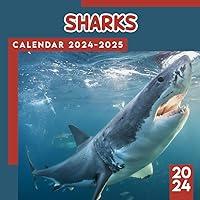 Algopix Similar Product 20 - Sharks Calendar 2024 Animals Calendar