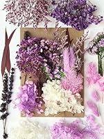 Algopix Similar Product 18 - Real Dried Pressed Flowers Plant
