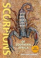 Algopix Similar Product 12 - Scorpions of Southern Africa