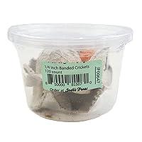 Algopix Similar Product 3 - Joshs Frogs 14 Banded Crickets 120