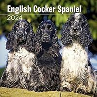 Algopix Similar Product 7 - MegaCalendars  English Cocker Spaniel