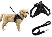 Algopix Similar Product 17 - Heavy Duty Adjustable Pet Puppy Dog