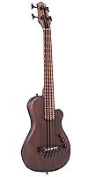 Algopix Similar Product 6 - Gold Tone 4 String AcousticElectric