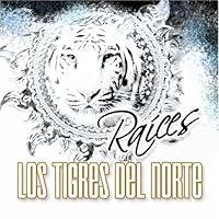 Algopix Similar Product 17 - Ra¡ces