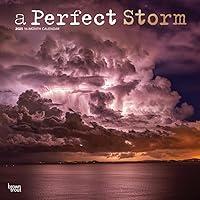 Algopix Similar Product 1 - A Perfect Storm 2025 12 X 24 Inch