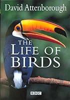 Algopix Similar Product 3 - The Life of Birds