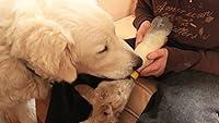 Algopix Similar Product 11 - Guard dog helps keep lamb tidy during