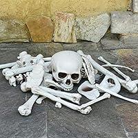 Algopix Similar Product 6 - JoshParty Halloween Skeleton Bones
