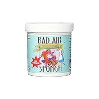 Algopix Similar Product 20 - Bad Air Sponge The ORIGINAL Odor