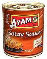 Algopix Similar Product 8 - Ayam Satay Sauce - Mild
