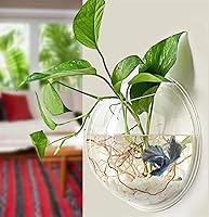Algopix Similar Product 13 - PRUGNA WallHanging Fish Bowl Acrylic