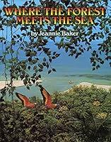 Algopix Similar Product 18 - Where the Forest Meets the Sea