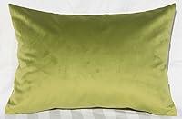 Algopix Similar Product 1 - TangDepot Solid Velvet Throw Pillow