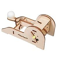 Algopix Similar Product 6 - Pitsco LaserCut Basswood Torsion