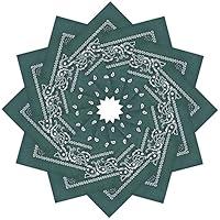 Algopix Similar Product 6 - Alotpower Cotton Novelty Print Paisley