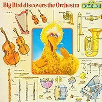 Algopix Similar Product 15 - Sesame Street Big Bird Discovers the