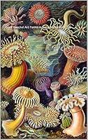 Algopix Similar Product 17 - Ernst Haeckel Art Forms in Nature