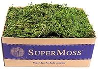 Algopix Similar Product 2 - SuperMoss Forest Moss Preserved