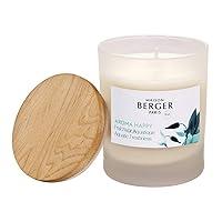 Algopix Similar Product 20 - MAISON BERGER Aroma Happy  Aquatic