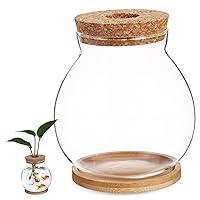 Algopix Similar Product 6 - DRESSOOS Terrarium Container Goldfish