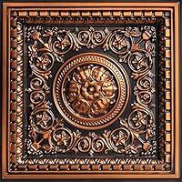 Algopix Similar Product 19 - From Plain To Beautiful In Hours VC02