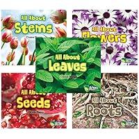 Algopix Similar Product 12 - All About Plants