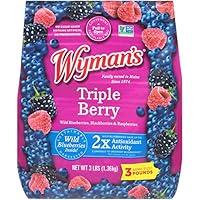 Algopix Similar Product 2 - Wyman's Triple Berry, 48 Ounce