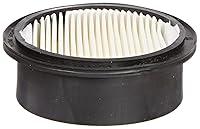 Algopix Similar Product 20 - Solberg 10 Replacement Paper Filter